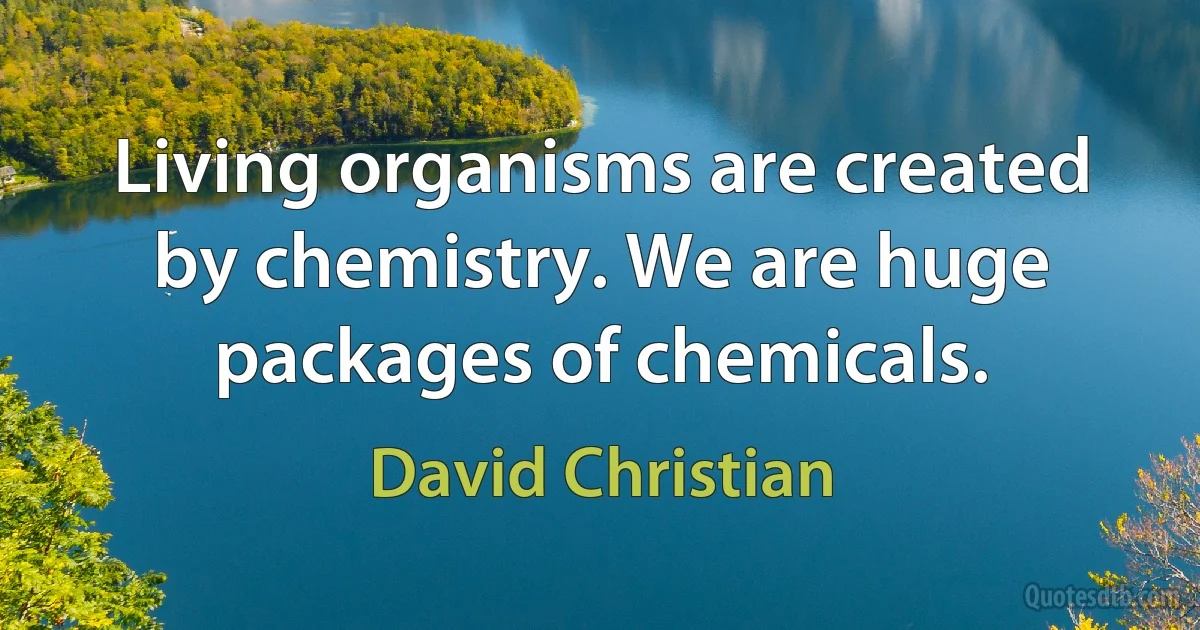 Living organisms are created by chemistry. We are huge packages of chemicals. (David Christian)