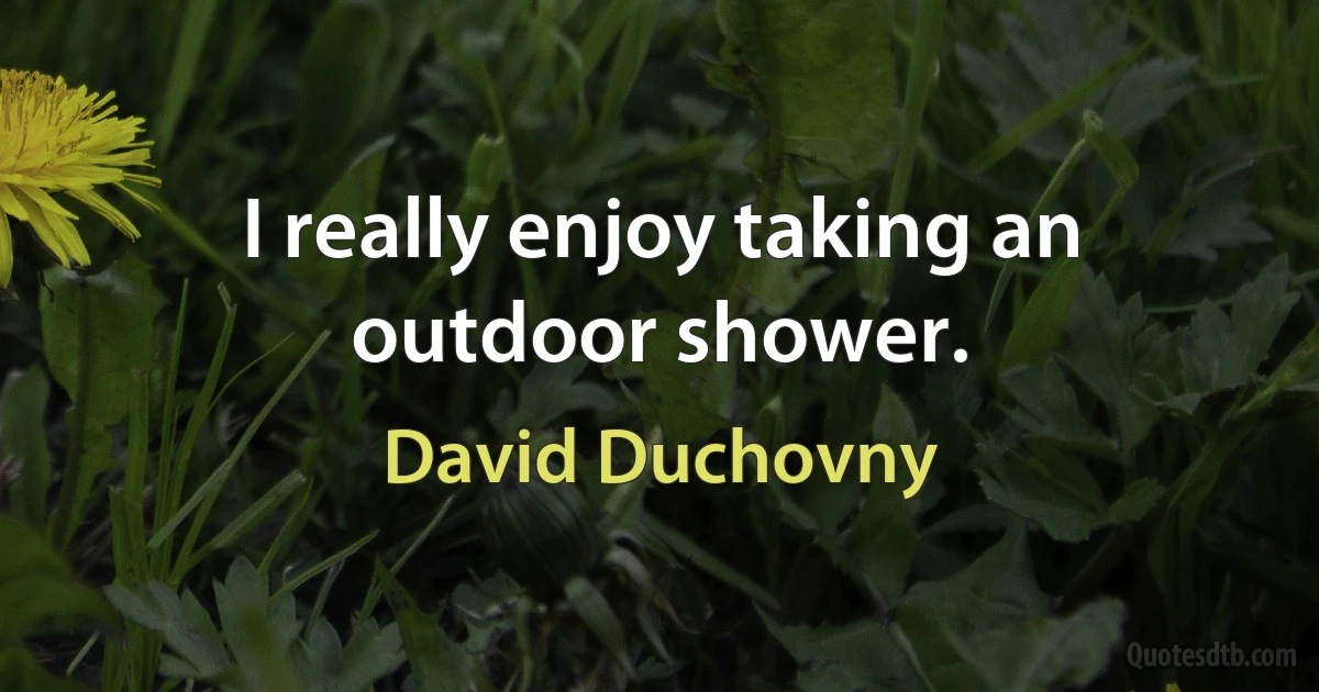 I really enjoy taking an outdoor shower. (David Duchovny)