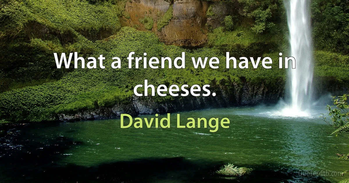 What a friend we have in cheeses. (David Lange)