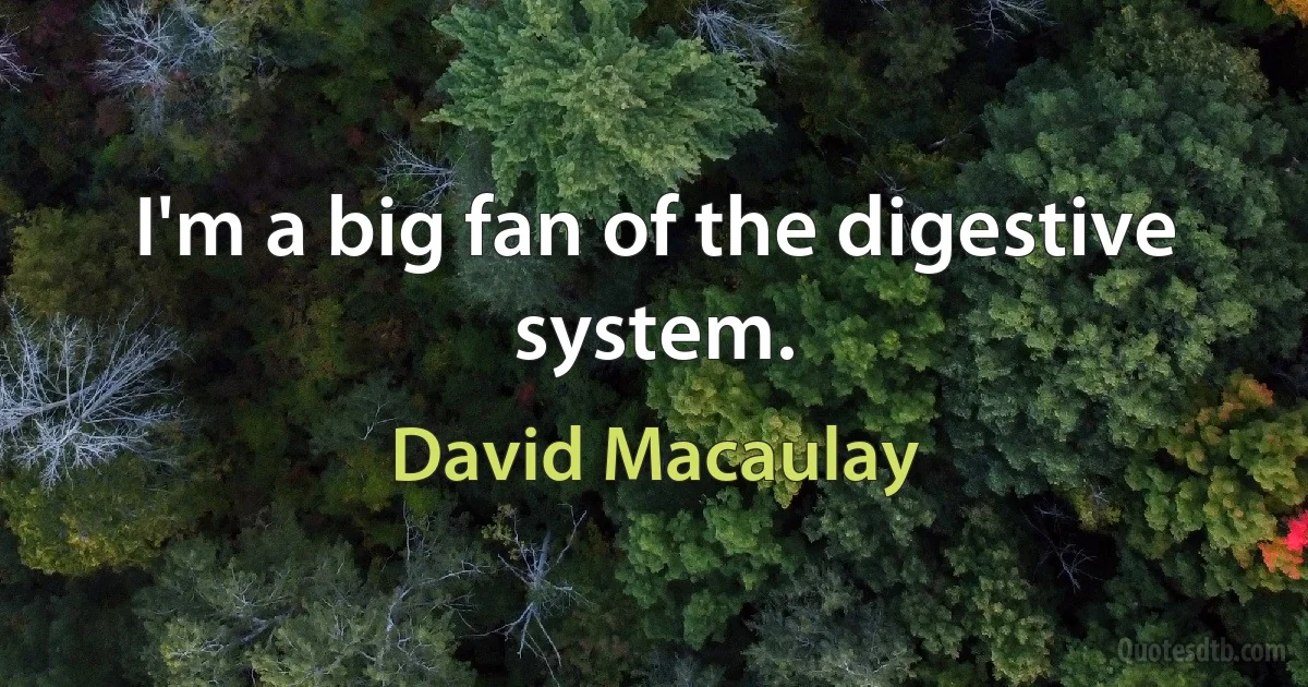 I'm a big fan of the digestive system. (David Macaulay)