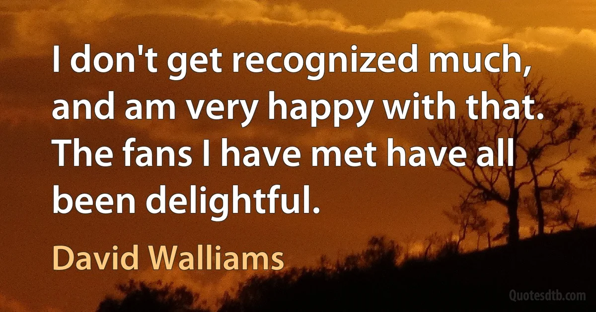 I don't get recognized much, and am very happy with that. The fans I have met have all been delightful. (David Walliams)