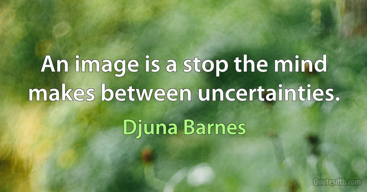 An image is a stop the mind makes between uncertainties. (Djuna Barnes)