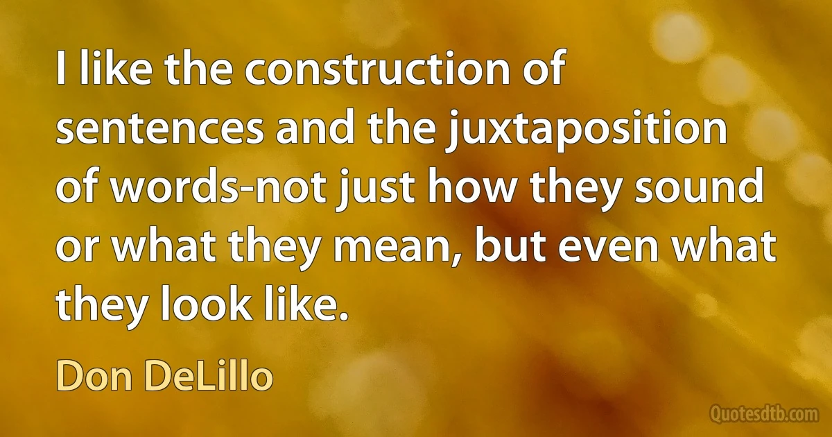 I like the construction of sentences and the juxtaposition of words-not just how they sound or what they mean, but even what they look like. (Don DeLillo)