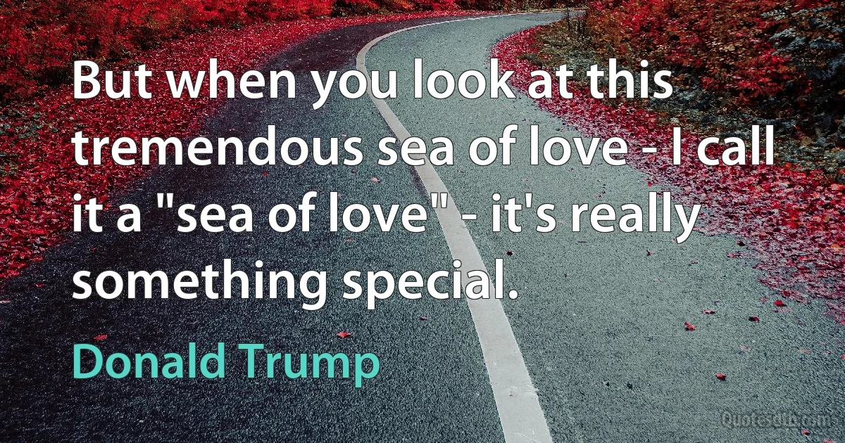 But when you look at this tremendous sea of love - I call it a "sea of love" - it's really something special. (Donald Trump)