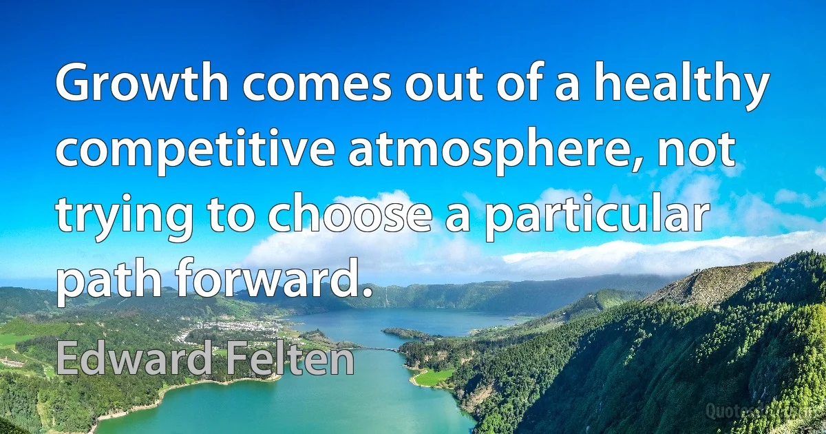 Growth comes out of a healthy competitive atmosphere, not trying to choose a particular path forward. (Edward Felten)