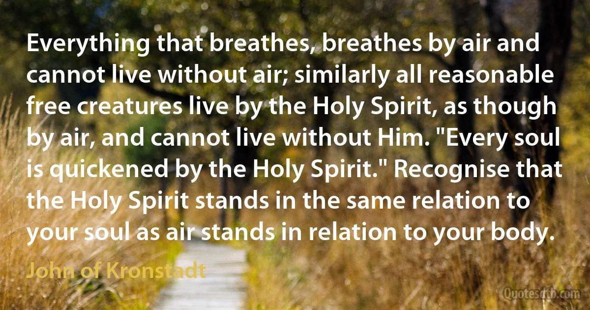 Everything that breathes, breathes by air and cannot live without air; similarly all reasonable free creatures live by the Holy Spirit, as though by air, and cannot live without Him. "Every soul is quickened by the Holy Spirit." Recognise that the Holy Spirit stands in the same relation to your soul as air stands in relation to your body. (John of Kronstadt)