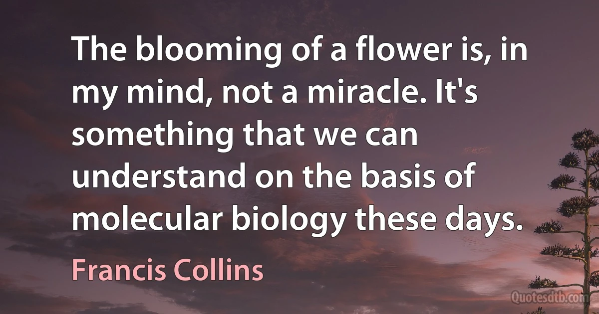 The blooming of a flower is, in my mind, not a miracle. It's something that we can understand on the basis of molecular biology these days. (Francis Collins)