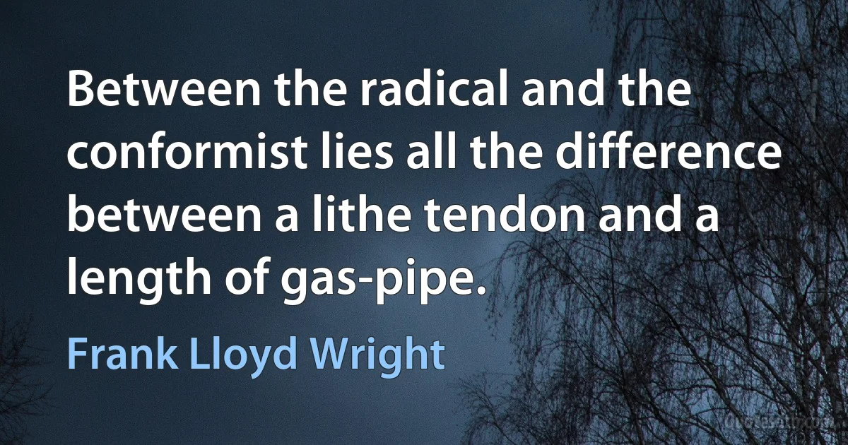 Between the radical and the conformist lies all the difference between a lithe tendon and a length of gas-pipe. (Frank Lloyd Wright)