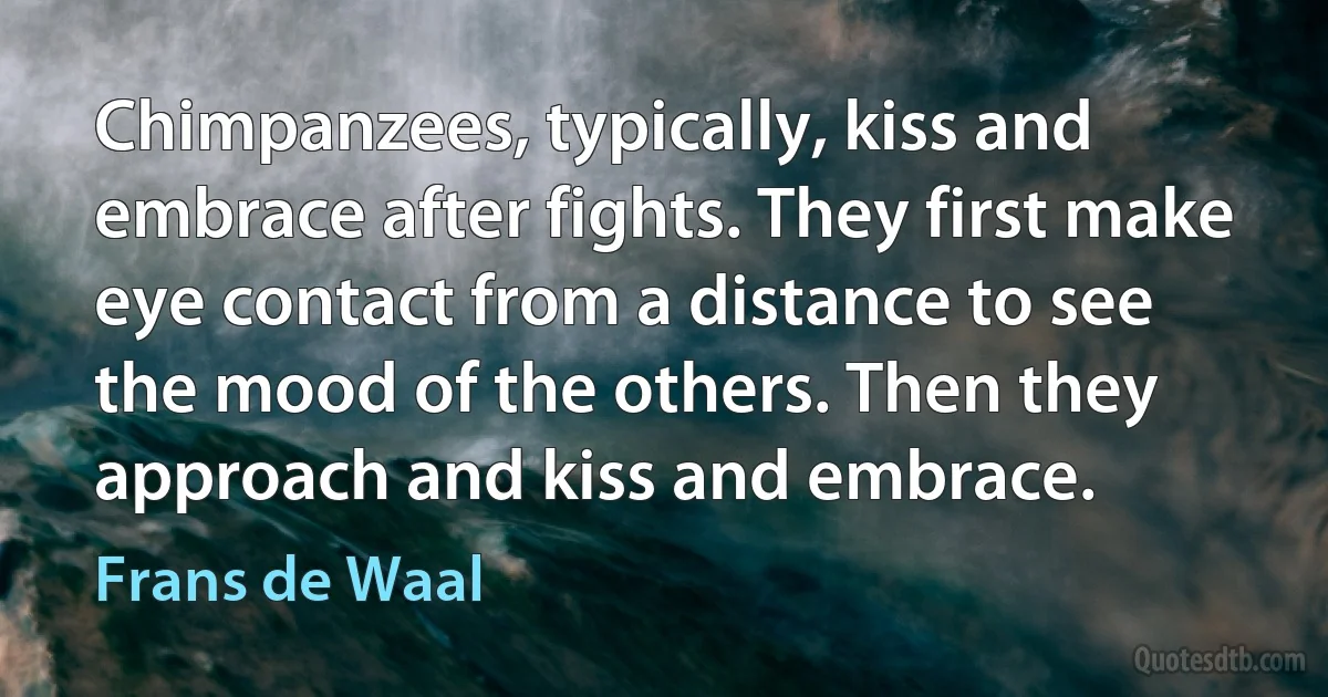 Chimpanzees, typically, kiss and embrace after fights. They first make eye contact from a distance to see the mood of the others. Then they approach and kiss and embrace. (Frans de Waal)