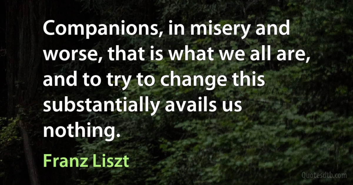 Companions, in misery and worse, that is what we all are, and to try to change this substantially avails us nothing. (Franz Liszt)