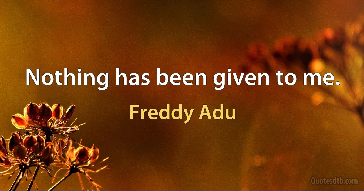 Nothing has been given to me. (Freddy Adu)