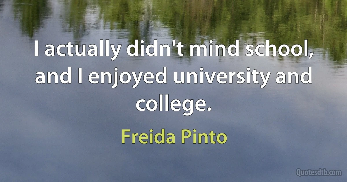 I actually didn't mind school, and I enjoyed university and college. (Freida Pinto)