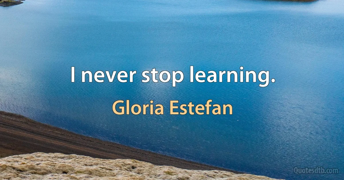 I never stop learning. (Gloria Estefan)