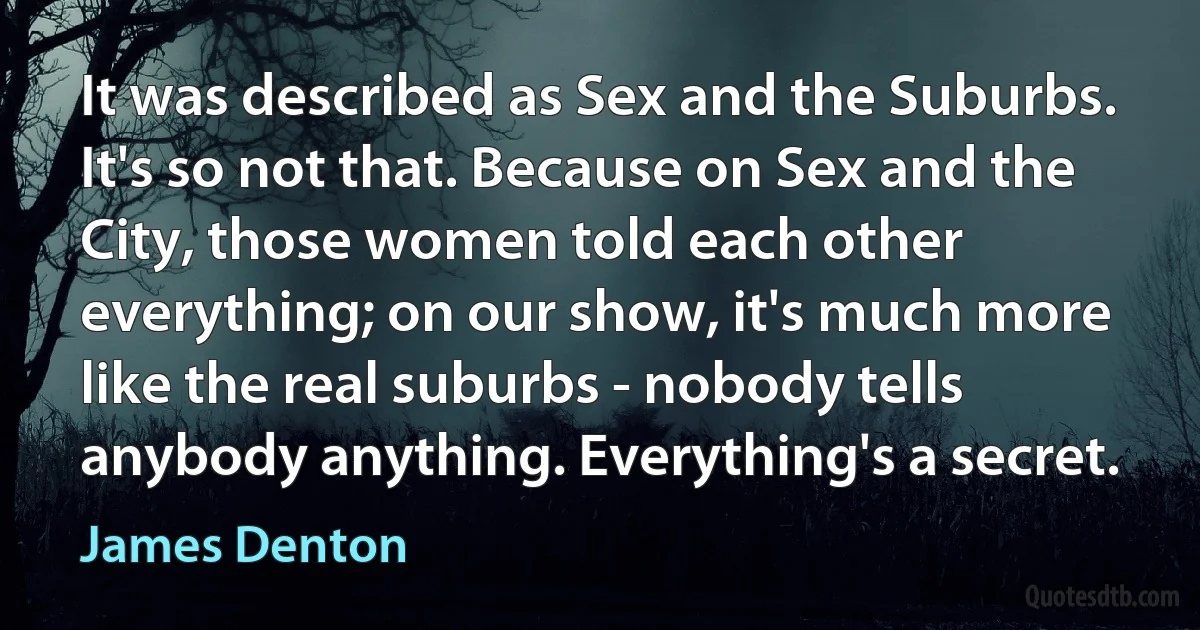 It was described as Sex and the Suburbs. It's so not that. Because on Sex and the City, those women told each other everything; on our show, it's much more like the real suburbs - nobody tells anybody anything. Everything's a secret. (James Denton)