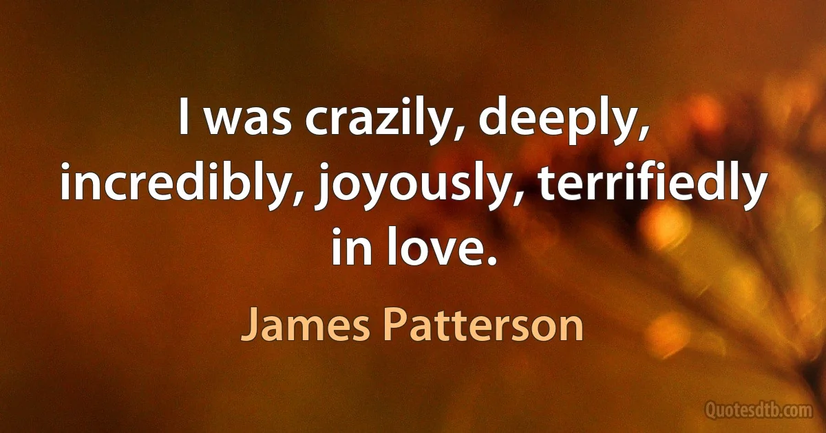 I was crazily, deeply, incredibly, joyously, terrifiedly in love. (James Patterson)