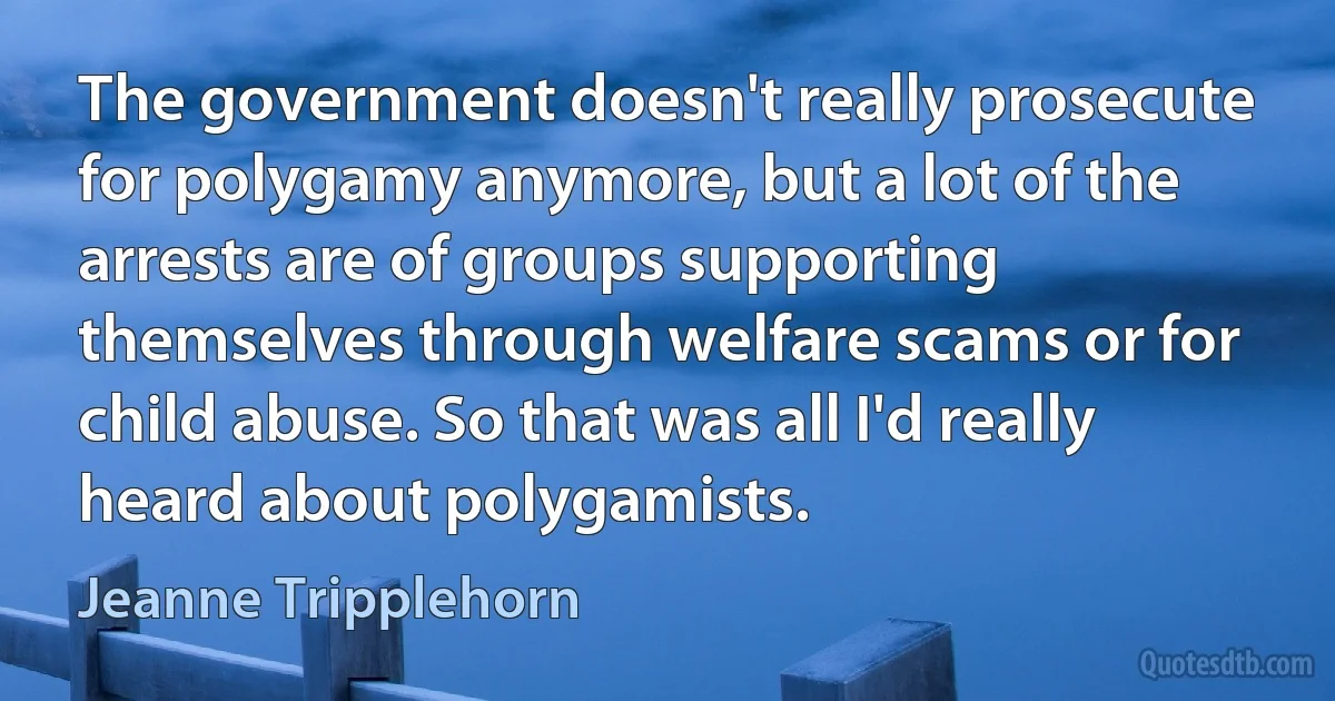 The government doesn't really prosecute for polygamy anymore, but a lot of the arrests are of groups supporting themselves through welfare scams or for child abuse. So that was all I'd really heard about polygamists. (Jeanne Tripplehorn)