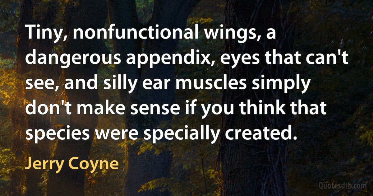 Tiny, nonfunctional wings, a dangerous appendix, eyes that can't see, and silly ear muscles simply don't make sense if you think that species were specially created. (Jerry Coyne)