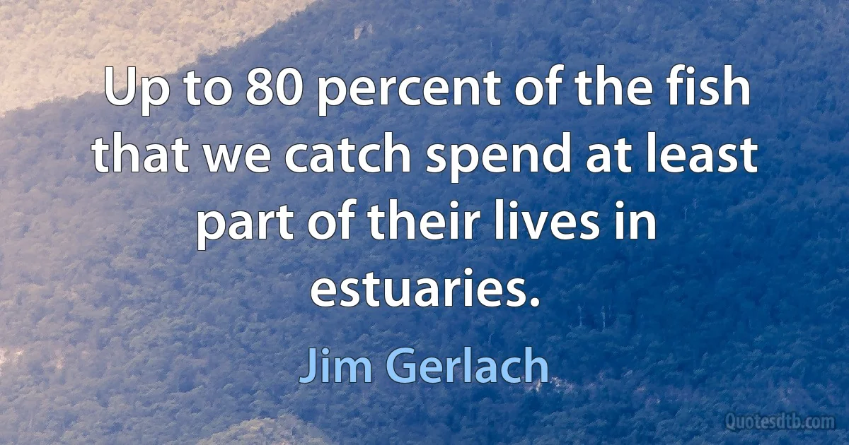 Up to 80 percent of the fish that we catch spend at least part of their lives in estuaries. (Jim Gerlach)