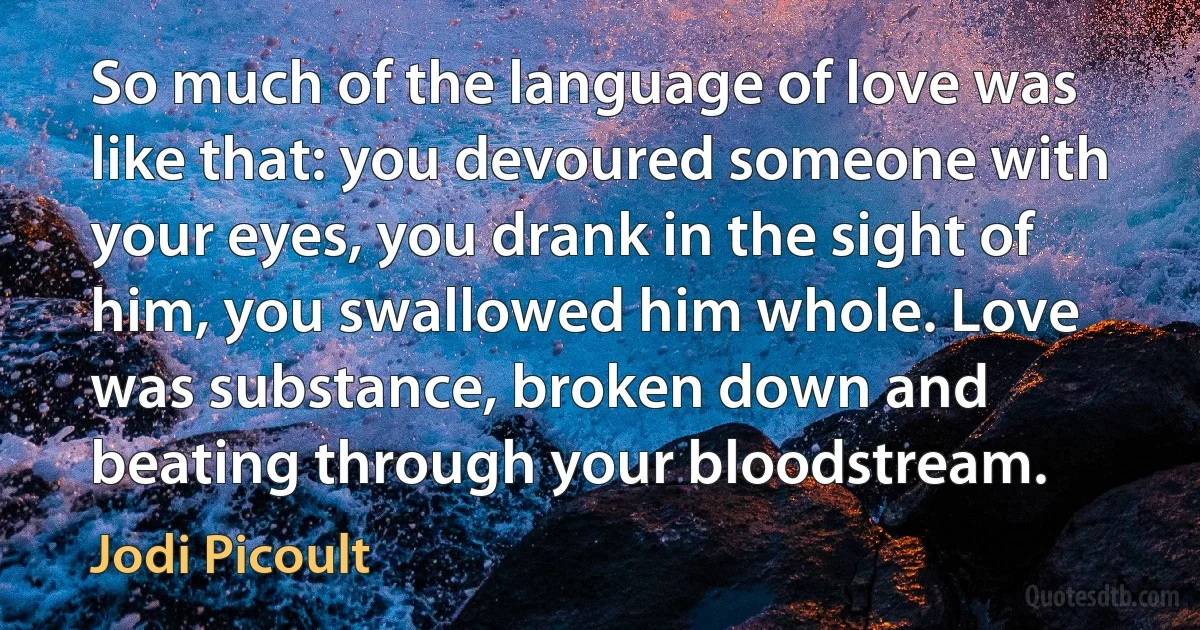 So much of the language of love was like that: you devoured someone with your eyes, you drank in the sight of him, you swallowed him whole. Love was substance, broken down and beating through your bloodstream. (Jodi Picoult)