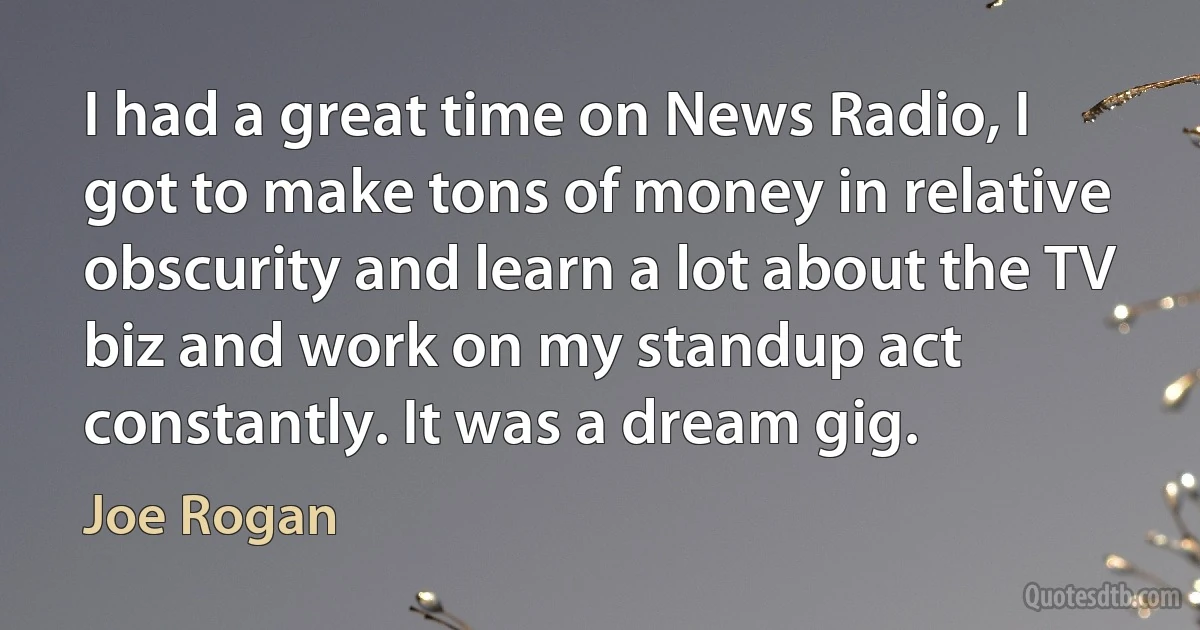 I had a great time on News Radio, I got to make tons of money in relative obscurity and learn a lot about the TV biz and work on my standup act constantly. It was a dream gig. (Joe Rogan)