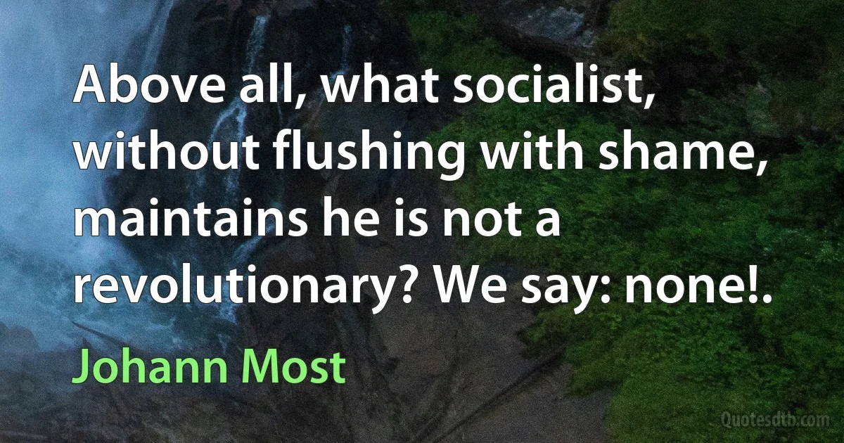 Above all, what socialist, without flushing with shame, maintains he is not a revolutionary? We say: none!. (Johann Most)