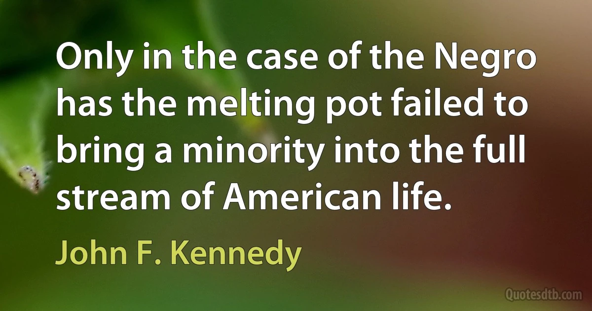 Only in the case of the Negro has the melting pot failed to bring a minority into the full stream of American life. (John F. Kennedy)