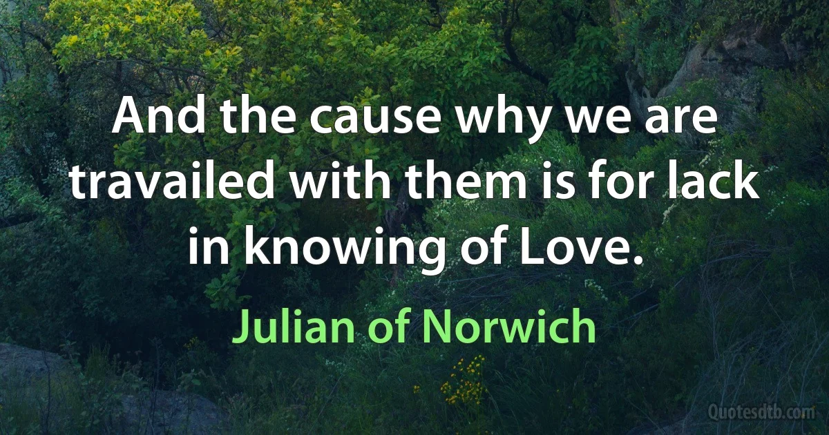 And the cause why we are travailed with them is for lack in knowing of Love. (Julian of Norwich)