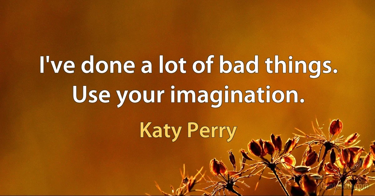 I've done a lot of bad things. Use your imagination. (Katy Perry)