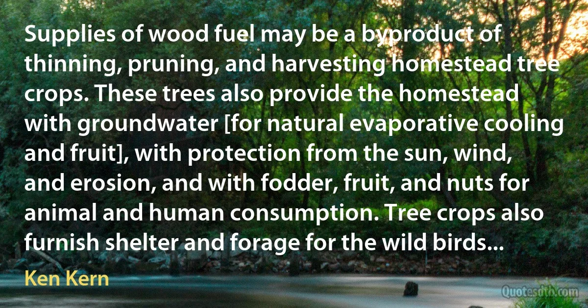 Supplies of wood fuel may be a byproduct of thinning, pruning, and harvesting homestead tree crops. These trees also provide the homestead with groundwater [for natural evaporative cooling and fruit], with protection from the sun, wind, and erosion, and with fodder, fruit, and nuts for animal and human consumption. Tree crops also furnish shelter and forage for the wild birds... (Ken Kern)