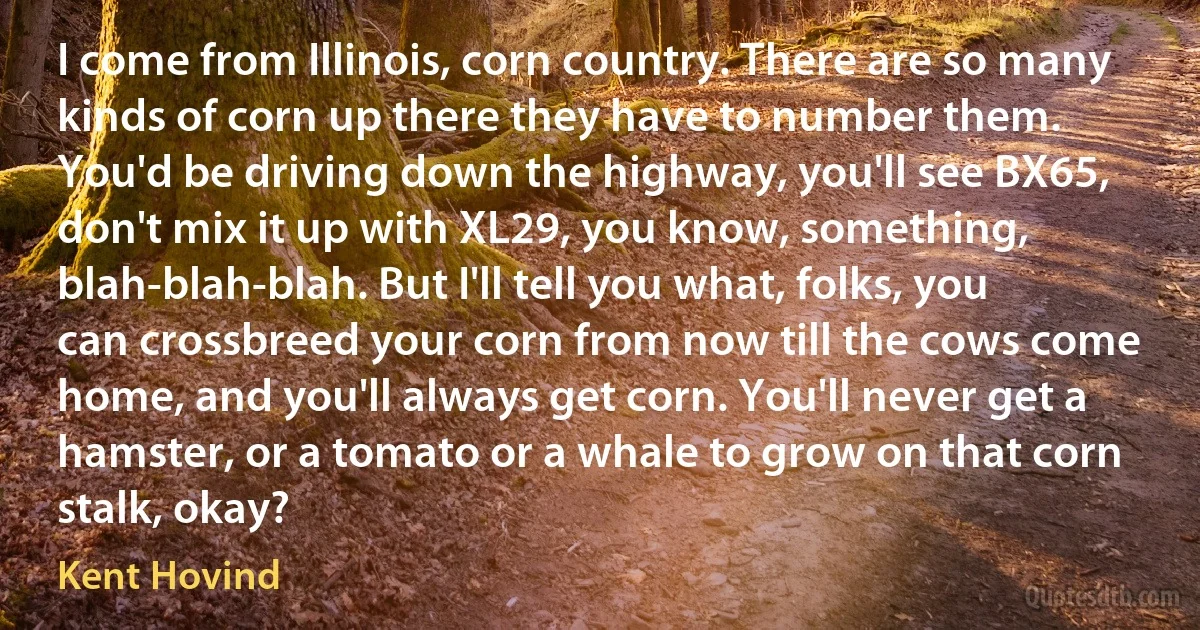 I come from Illinois, corn country. There are so many kinds of corn up there they have to number them. You'd be driving down the highway, you'll see BX65, don't mix it up with XL29, you know, something, blah-blah-blah. But I'll tell you what, folks, you can crossbreed your corn from now till the cows come home, and you'll always get corn. You'll never get a hamster, or a tomato or a whale to grow on that corn stalk, okay? (Kent Hovind)