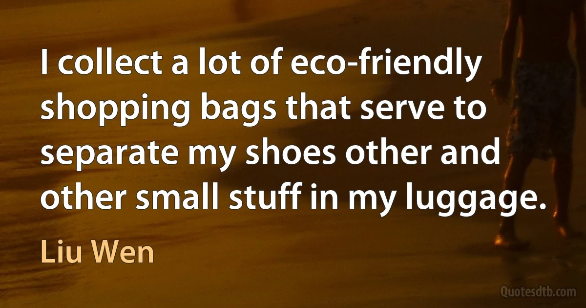 I collect a lot of eco-friendly shopping bags that serve to separate my shoes other and other small stuff in my luggage. (Liu Wen)