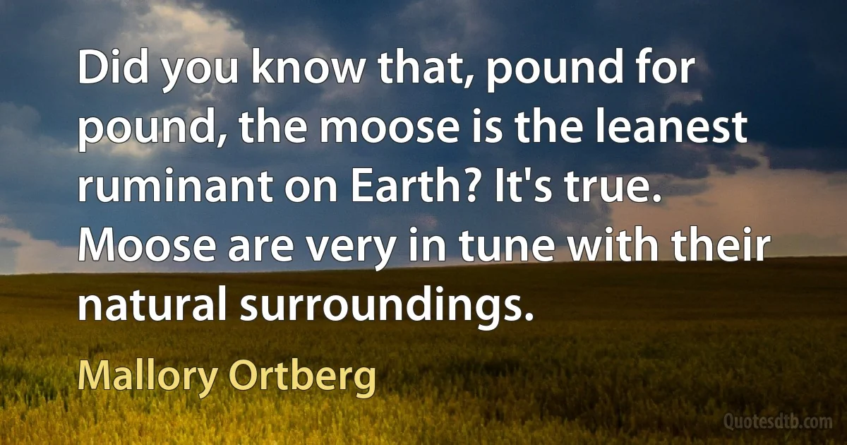 Did you know that, pound for pound, the moose is the leanest ruminant on Earth? It's true. Moose are very in tune with their natural surroundings. (Mallory Ortberg)