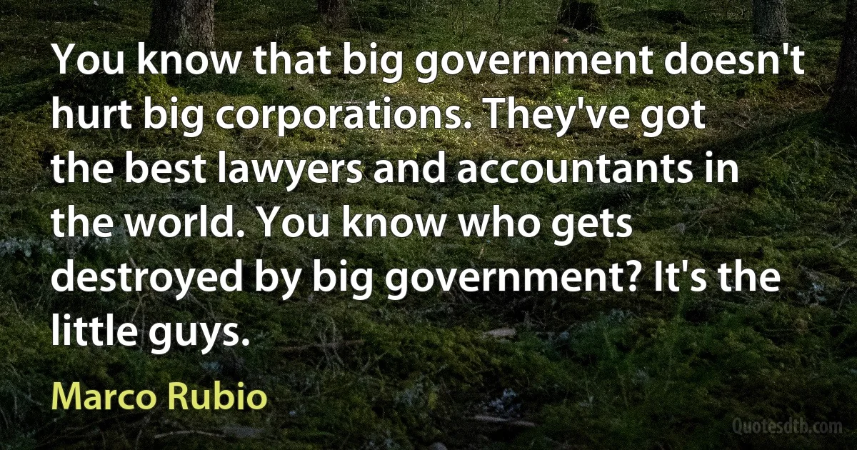 You know that big government doesn't hurt big corporations. They've got the best lawyers and accountants in the world. You know who gets destroyed by big government? It's the little guys. (Marco Rubio)