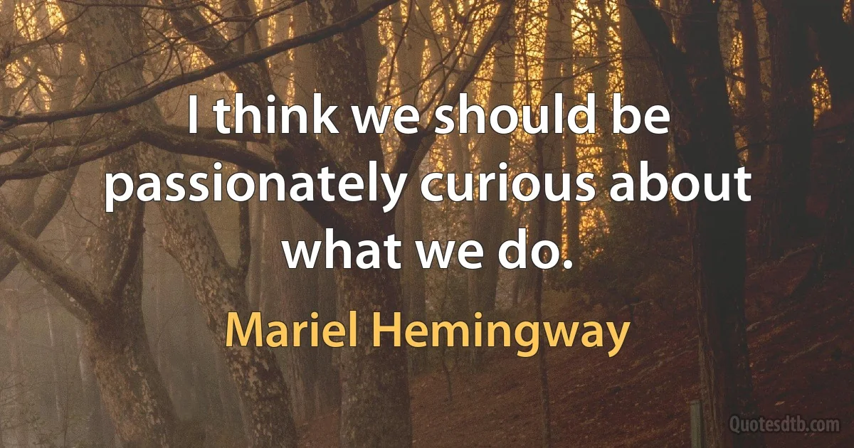 I think we should be passionately curious about what we do. (Mariel Hemingway)