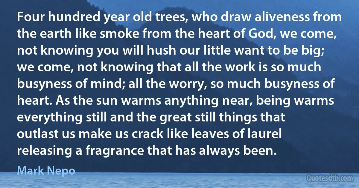 Four hundred year old trees, who draw aliveness from the earth like smoke from the heart of God, we come, not knowing you will hush our little want to be big; we come, not knowing that all the work is so much busyness of mind; all the worry, so much busyness of heart. As the sun warms anything near, being warms everything still and the great still things that outlast us make us crack like leaves of laurel releasing a fragrance that has always been. (Mark Nepo)