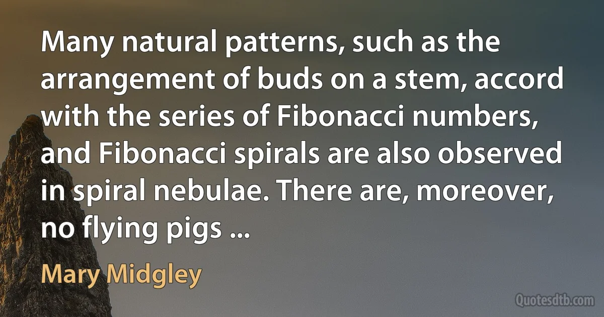 Many natural patterns, such as the arrangement of buds on a stem, accord with the series of Fibonacci numbers, and Fibonacci spirals are also observed in spiral nebulae. There are, moreover, no flying pigs ... (Mary Midgley)