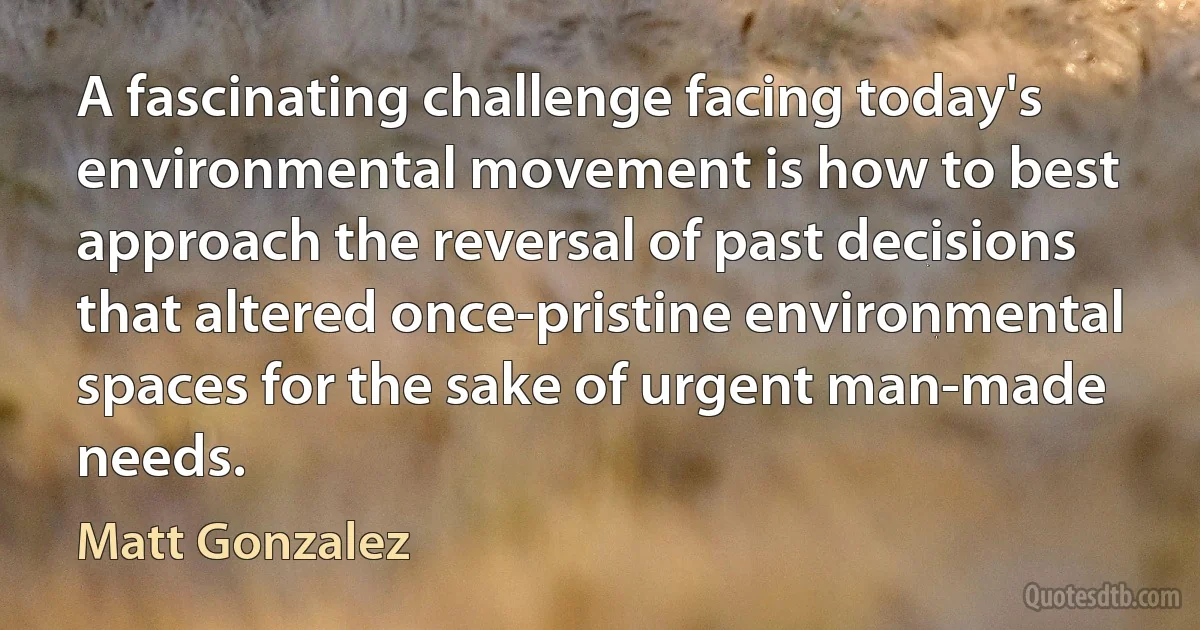 A fascinating challenge facing today's environmental movement is how to best approach the reversal of past decisions that altered once-pristine environmental spaces for the sake of urgent man-made needs. (Matt Gonzalez)