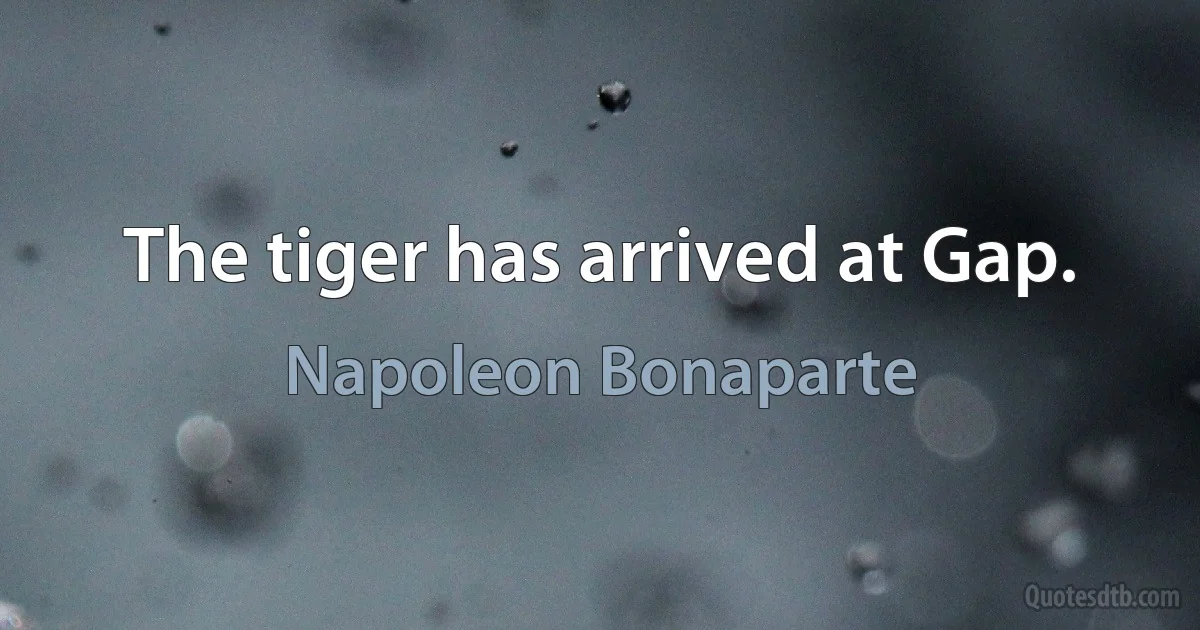 The tiger has arrived at Gap. (Napoleon Bonaparte)