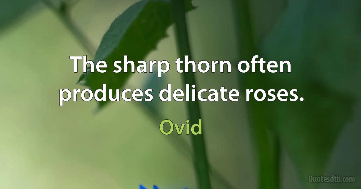 The sharp thorn often produces delicate roses. (Ovid)