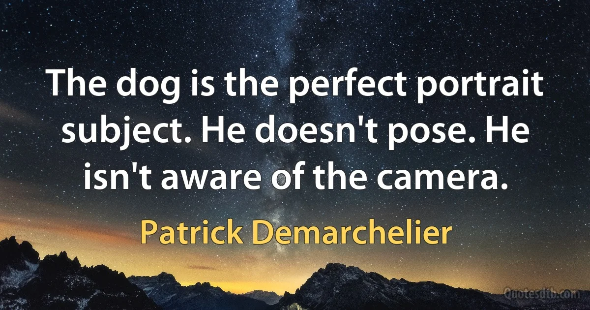 The dog is the perfect portrait subject. He doesn't pose. He isn't aware of the camera. (Patrick Demarchelier)