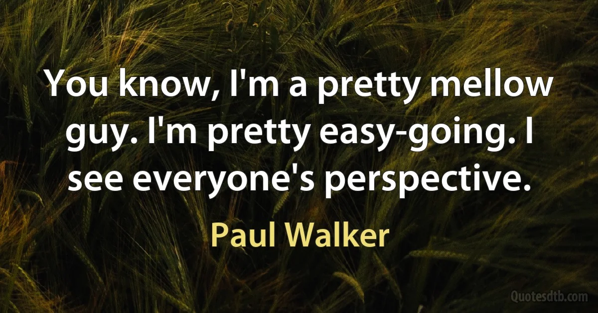 You know, I'm a pretty mellow guy. I'm pretty easy-going. I see everyone's perspective. (Paul Walker)