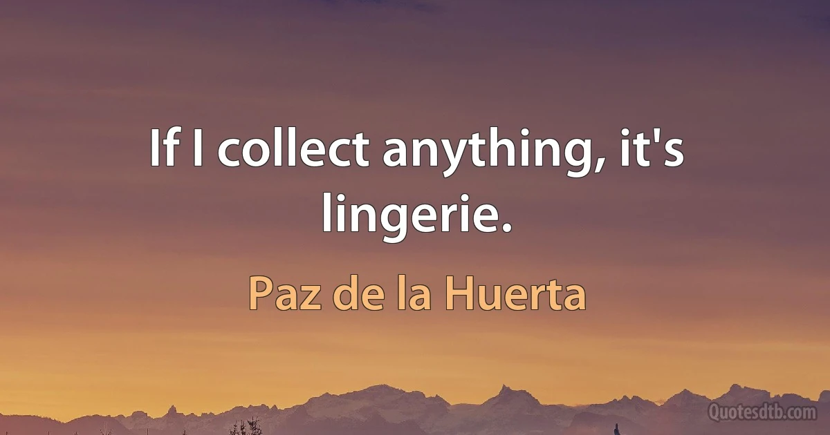 If I collect anything, it's lingerie. (Paz de la Huerta)