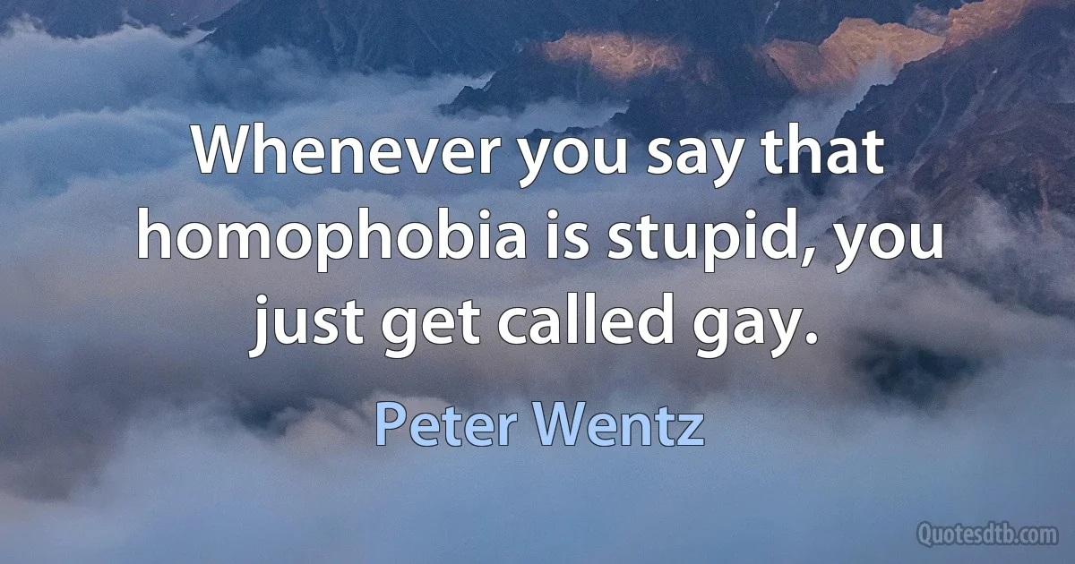 Whenever you say that homophobia is stupid, you just get called gay. (Peter Wentz)