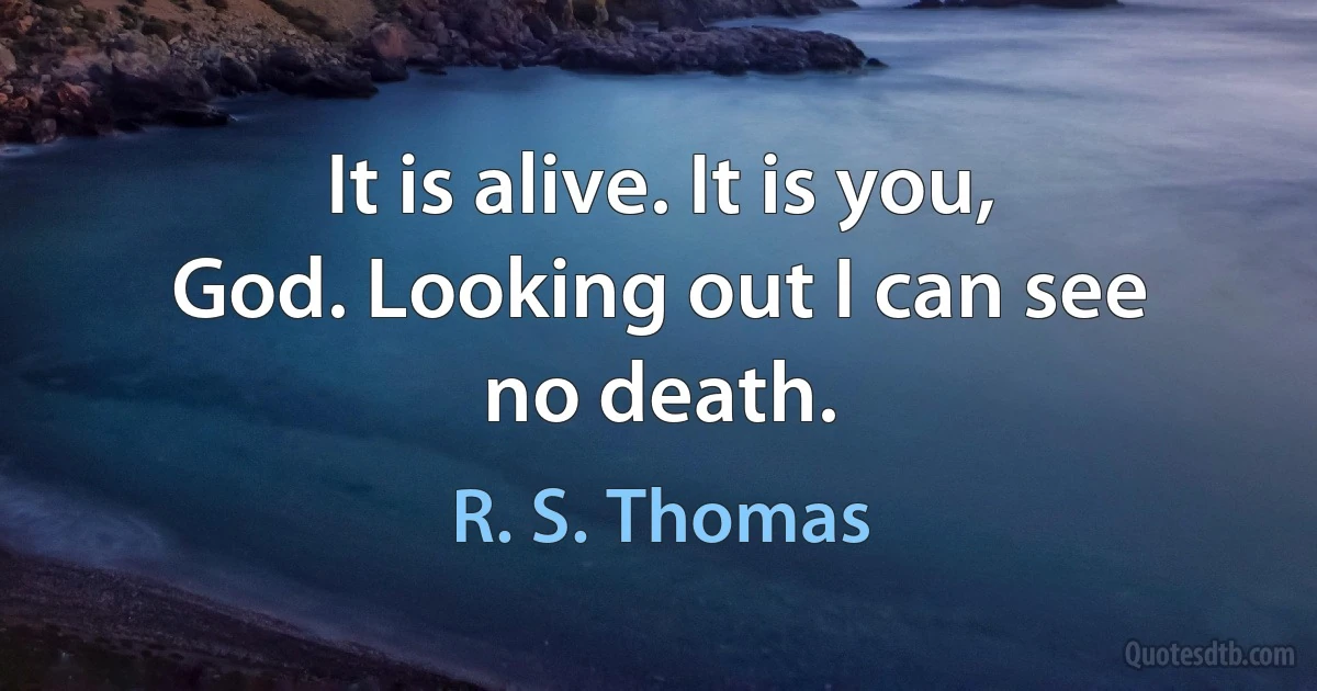 It is alive. It is you,
God. Looking out I can see
no death. (R. S. Thomas)