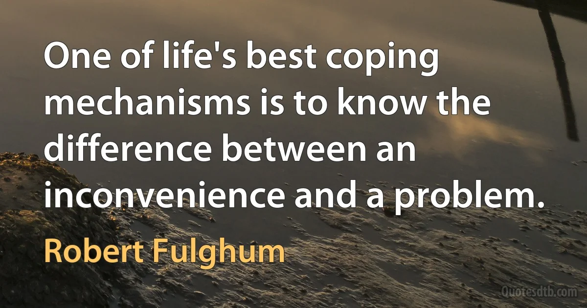 One of life's best coping mechanisms is to know the difference between an inconvenience and a problem. (Robert Fulghum)