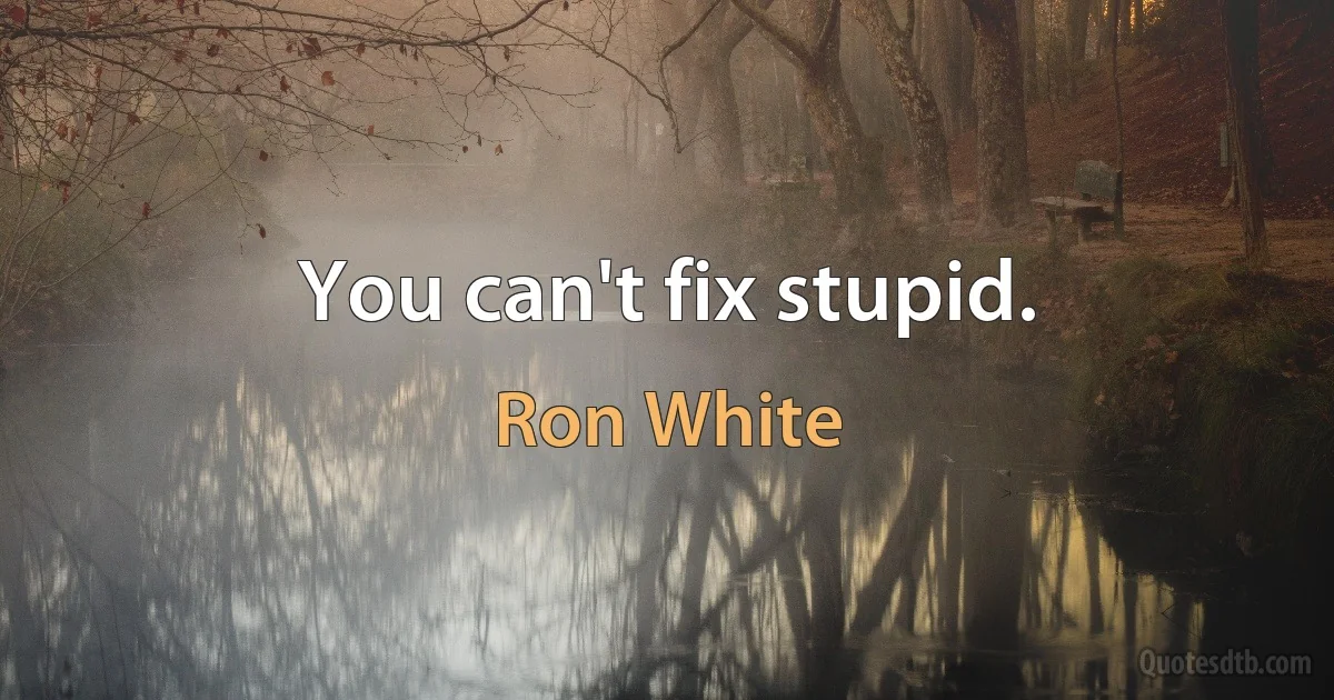 You can't fix stupid. (Ron White)