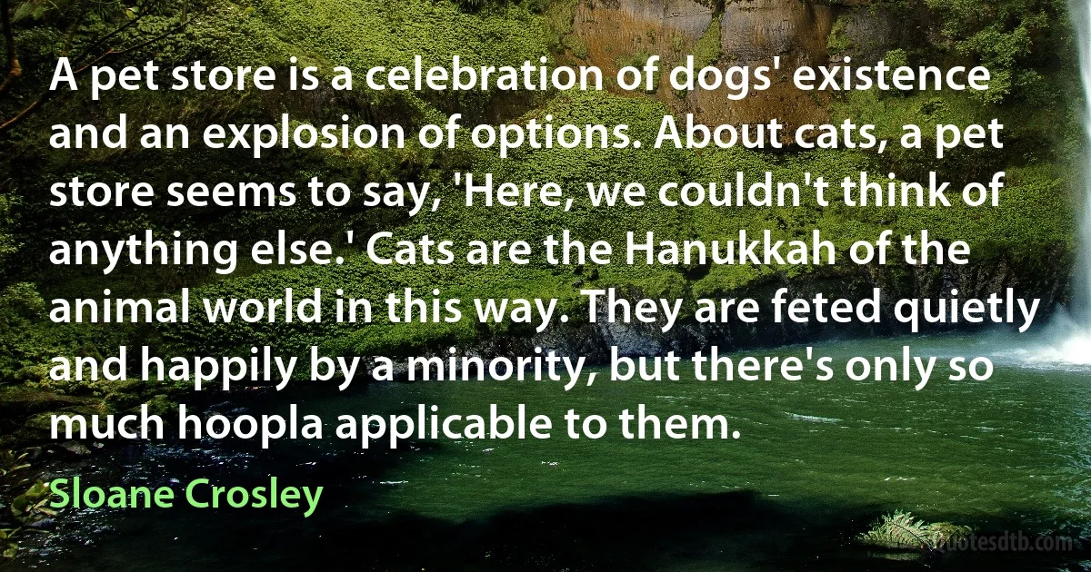 A pet store is a celebration of dogs' existence and an explosion of options. About cats, a pet store seems to say, 'Here, we couldn't think of anything else.' Cats are the Hanukkah of the animal world in this way. They are feted quietly and happily by a minority, but there's only so much hoopla applicable to them. (Sloane Crosley)