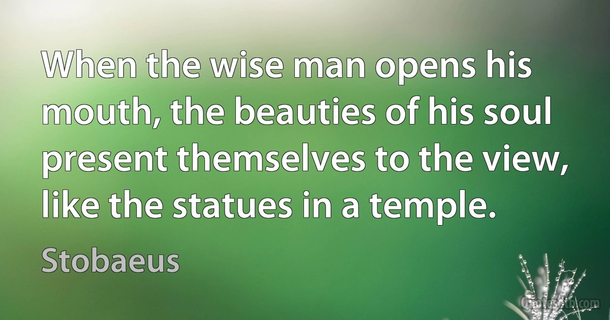 When the wise man opens his mouth, the beauties of his soul present themselves to the view, like the statues in a temple. (Stobaeus)