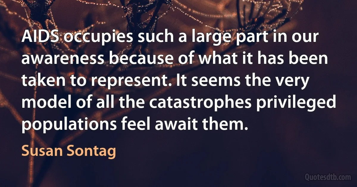 AIDS occupies such a large part in our awareness because of what it has been taken to represent. It seems the very model of all the catastrophes privileged populations feel await them. (Susan Sontag)