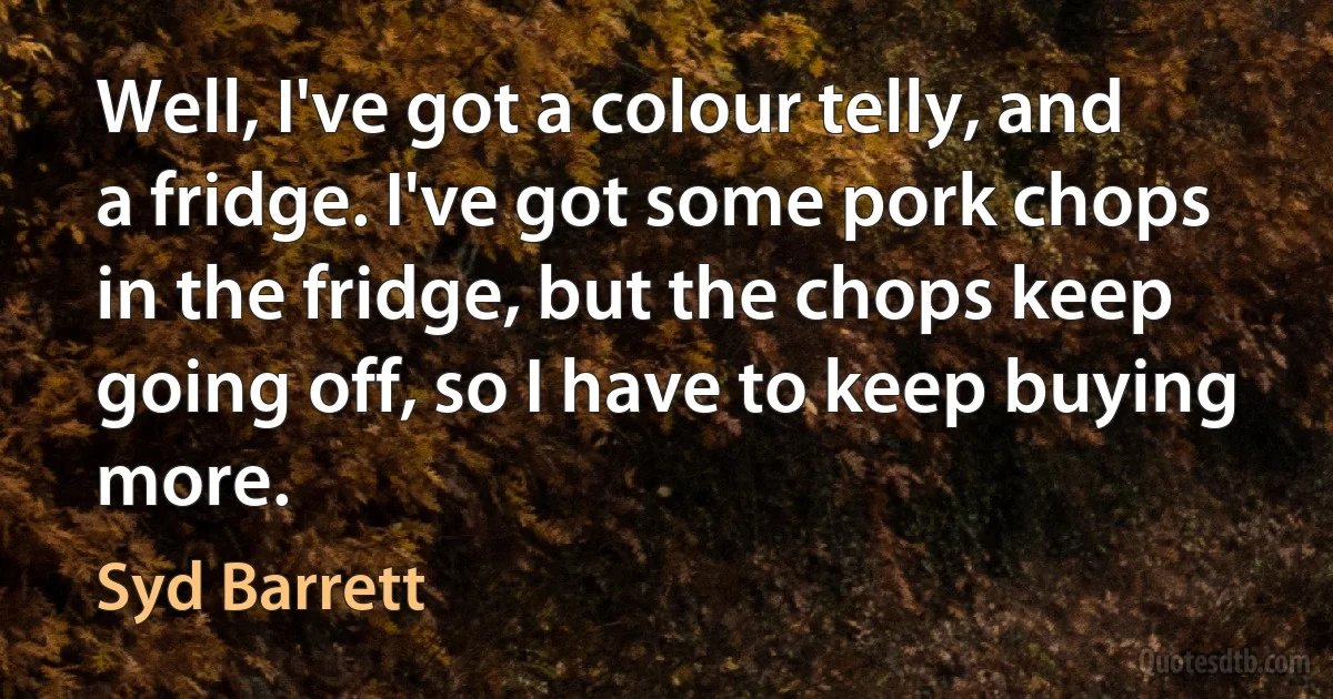 Well, I've got a colour telly, and a fridge. I've got some pork chops in the fridge, but the chops keep going off, so I have to keep buying more. (Syd Barrett)